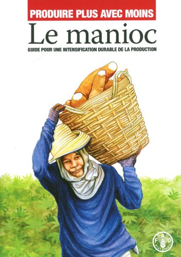 Produire plus avec moins : le manioc : guide pour une intensification durable de la production