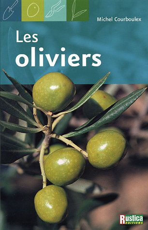 Les oliviers : les variétés, la culture, la récolte