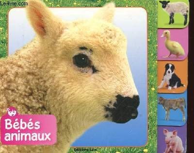 les bebes animaux
