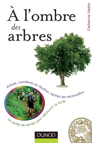 A l'ombre des arbres