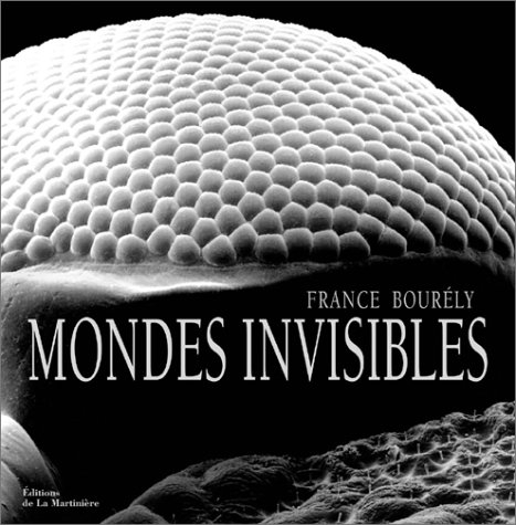Mondes invisibles : éloge de la beauté cachée
