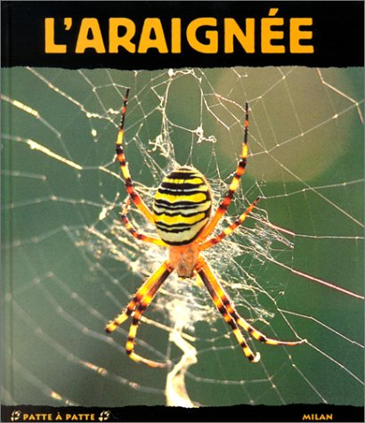 L'araignée