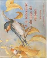 A la rencontre du pays de velours : le rouge-gorge, l'hirondelle