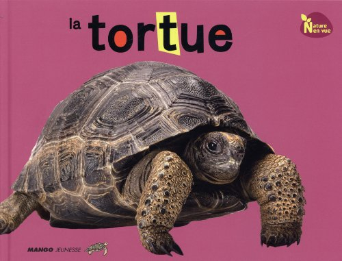 La tortue