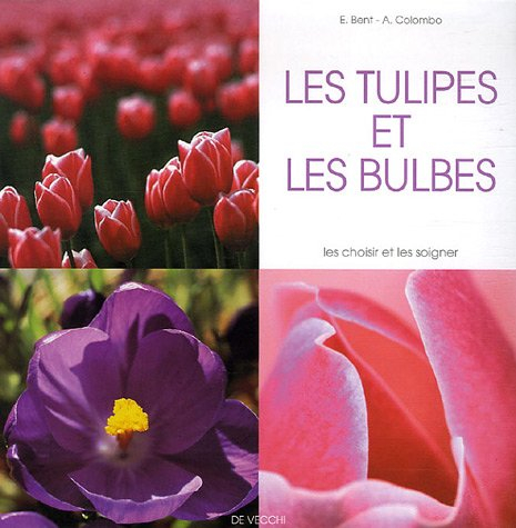 Les tulipes et les bulbes : les choisir et les soigner