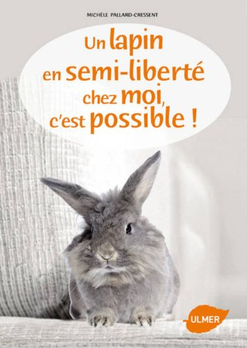 Un lapin en semi-liberté chez moi, c'est possible !