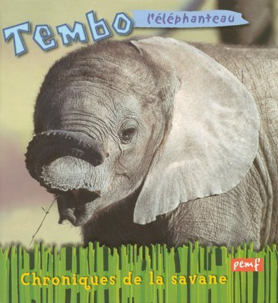 Tembo, l'éléphanteau
