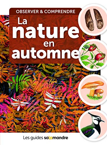 La nature en automne : observer & comprendre