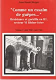 Comme un essaim de guêpes... Résistance et guérilla en R1, secteur VI Rhône-Isère : en 2 volumes : T