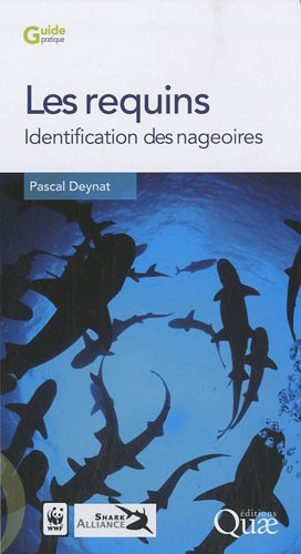 Les requins : identification des nageoires