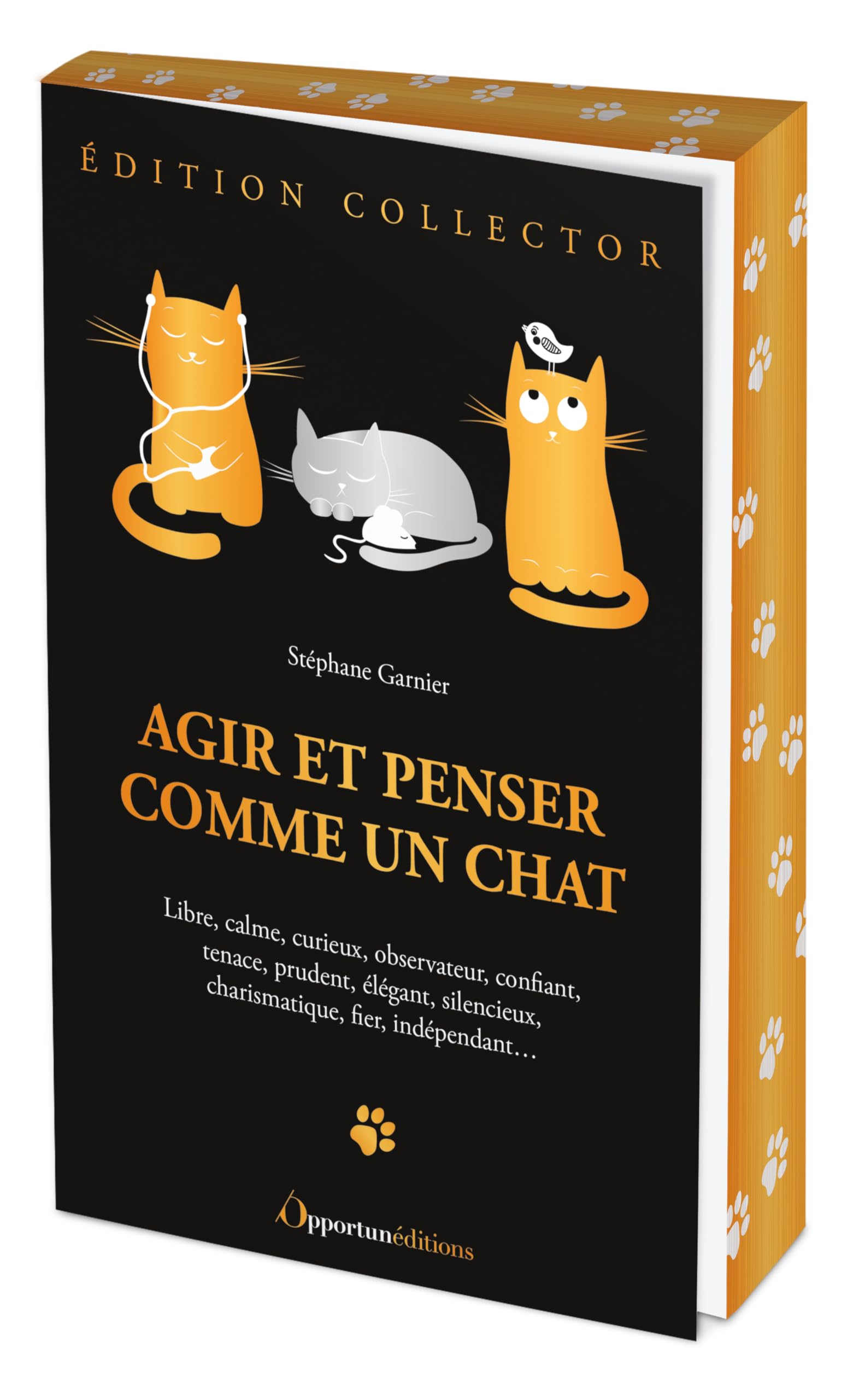Agir et penser comme un chat : libre, calme, curieux, observateur, confiant, tenace, prudent, élégan