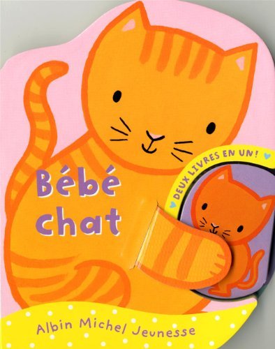 Bébé chat