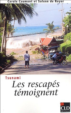 Tsunami : les rescapés témoignent