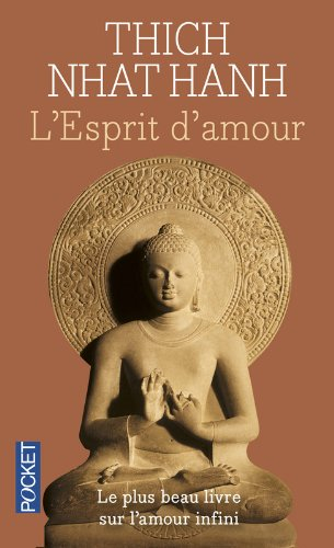 L'esprit d'amour : la pratique du regard profond dans la tradition bouddhiste mahayana