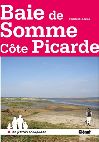 Baie de Somme, Côte picarde