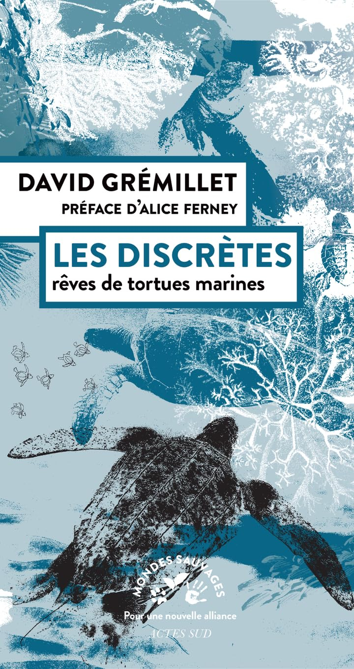 Les discrètes : rêves de tortues marines