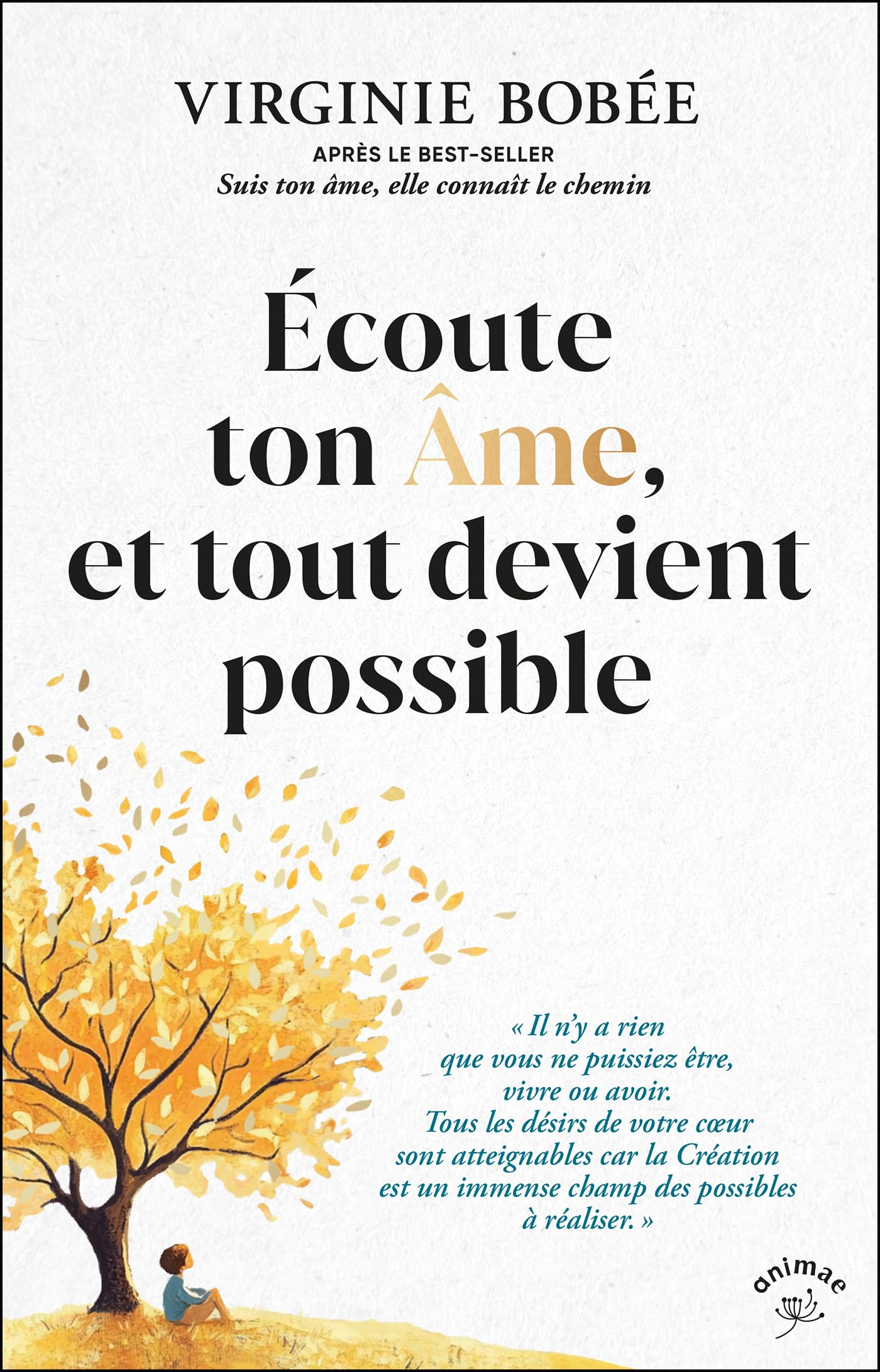 Écoute ton Âme, et tout devient possible: « Il n’y a rien que vous ne puissiez être, vivre ou avoir.