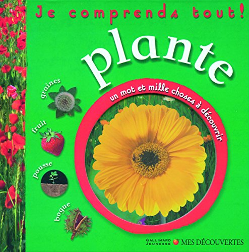 Plante : graines, fruit, pousse, bogue