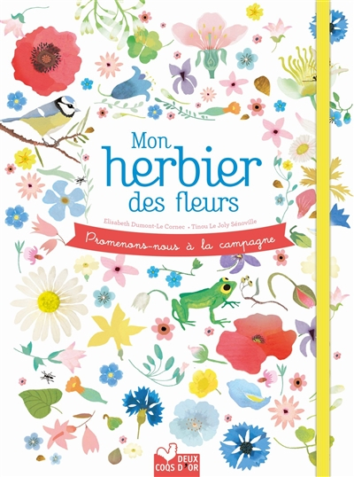 Mon herbier des fleurs : promenons-nous à la campagne