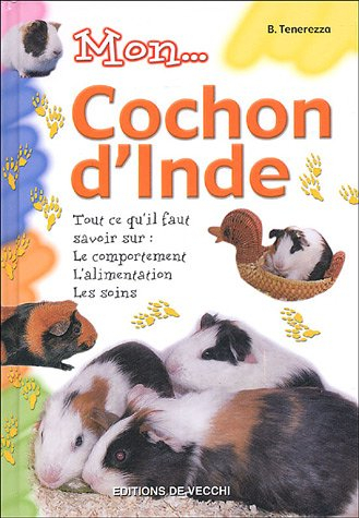 Mon cochon d'Inde