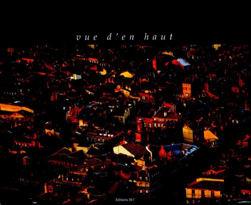 toulouse : vue d'en haut