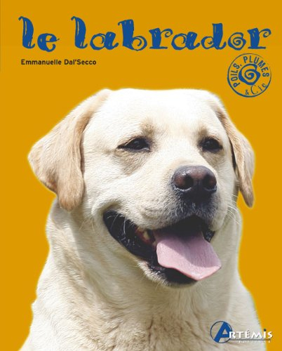 Le labrador