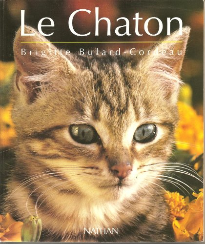 Le chaton : d'avant sa naissance à l'âge adulte