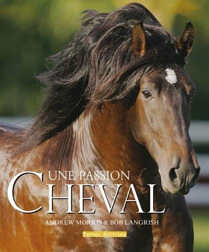 Cheval : une passion