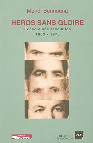 Héros sans gloire : échec d'une révolution, 1963-1973