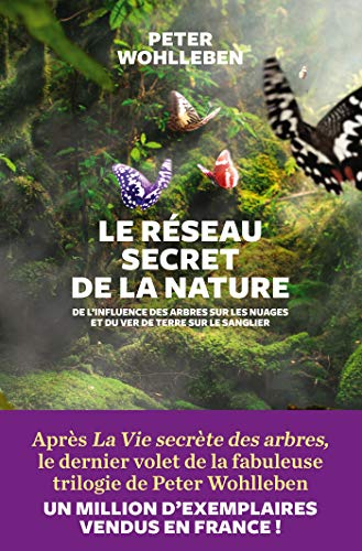 Le réseau secret de la nature : de l'influence des arbres sur les nuages et du ver de terre sur le s