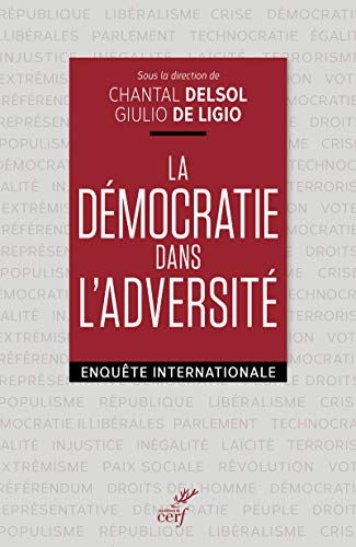 La démocratie dans l'adversité : enquête internationale