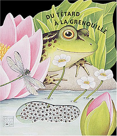 Du têtard à la grenouille