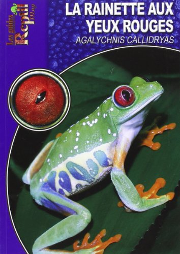 La rainette aux yeux rouges : Agalychnis callidryas
