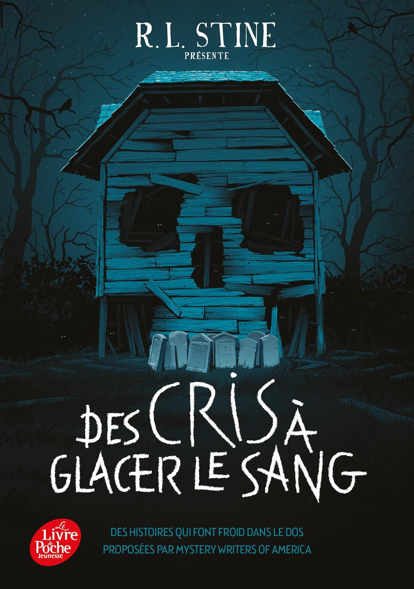 Des cris à glacer le sang : des histoires qui font froid dans le dos