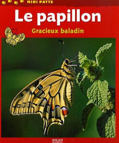 Le papillon, gracieux baladin