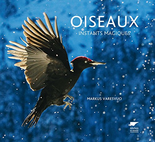 Oiseaux : instants magiques