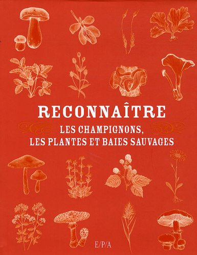 Reconnaître les champignons, les plantes et baies sauvages
