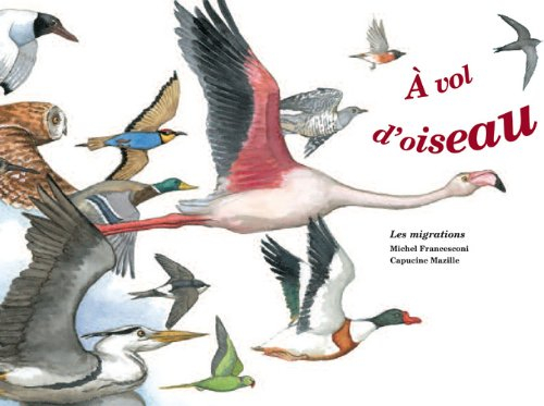 A vol d'oiseau : les migrations
