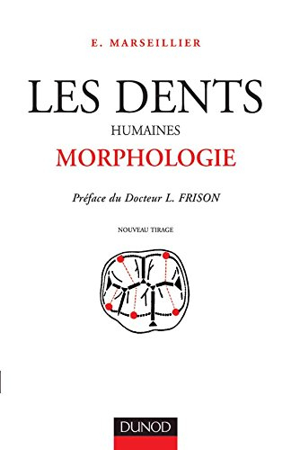 Les Dents humaines : morphologie
