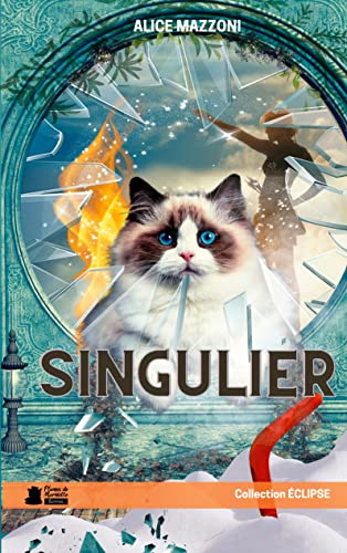 Singulier