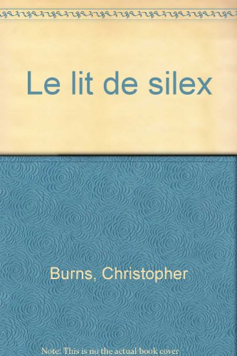 Le lit de silex