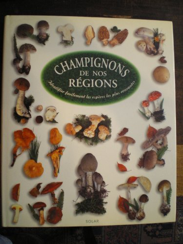 Champignons de nos régions : identifier facilement les espèces les plus courantes