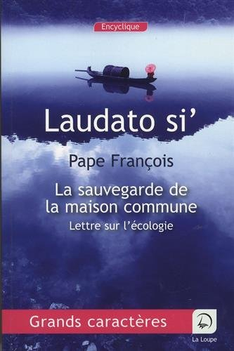 Laudato si' : la sauvegarde de la maison commune : lettre sur l'écologie