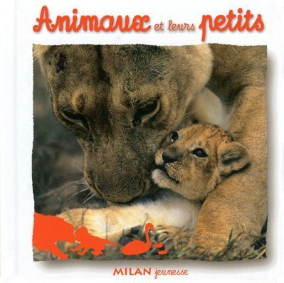 Les animaux et leurs petits