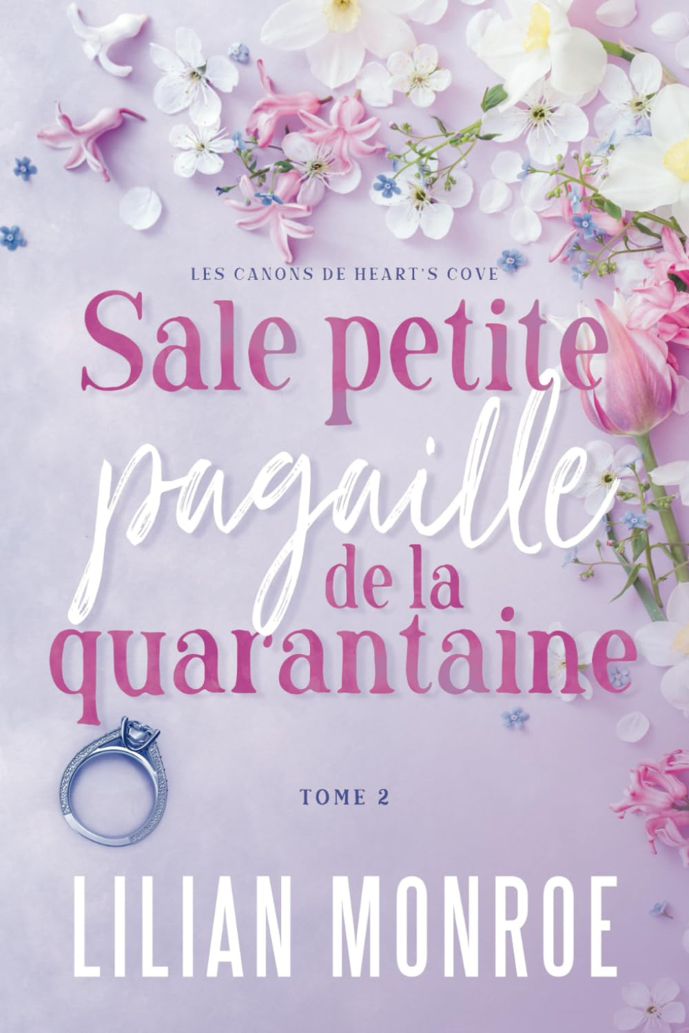 Sale petite pagaille de la quarantaine: Une comédie romantique de fausse relation