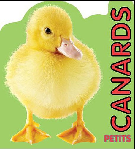 Petits canards