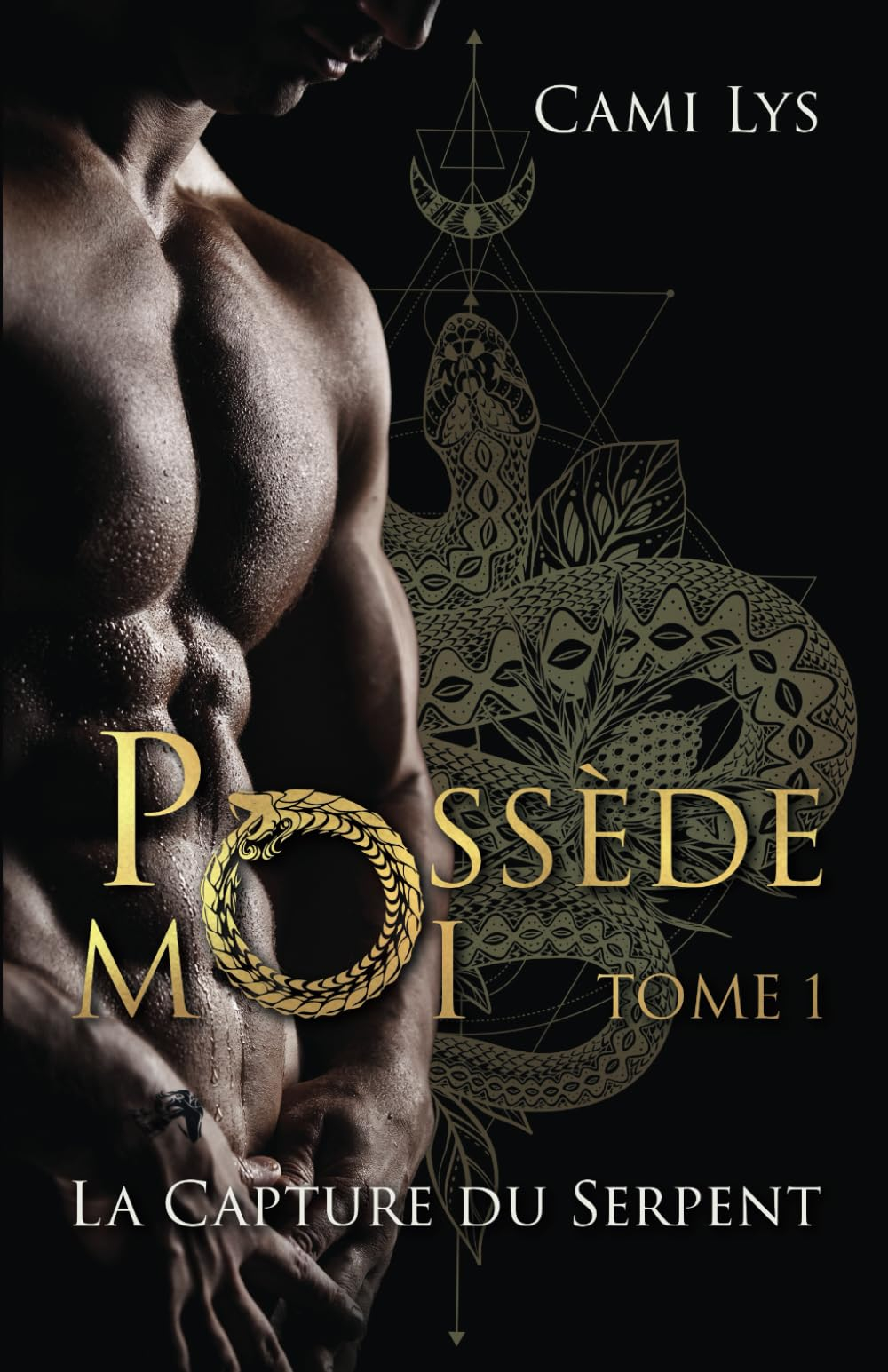 Possède-Moi: Tome 1