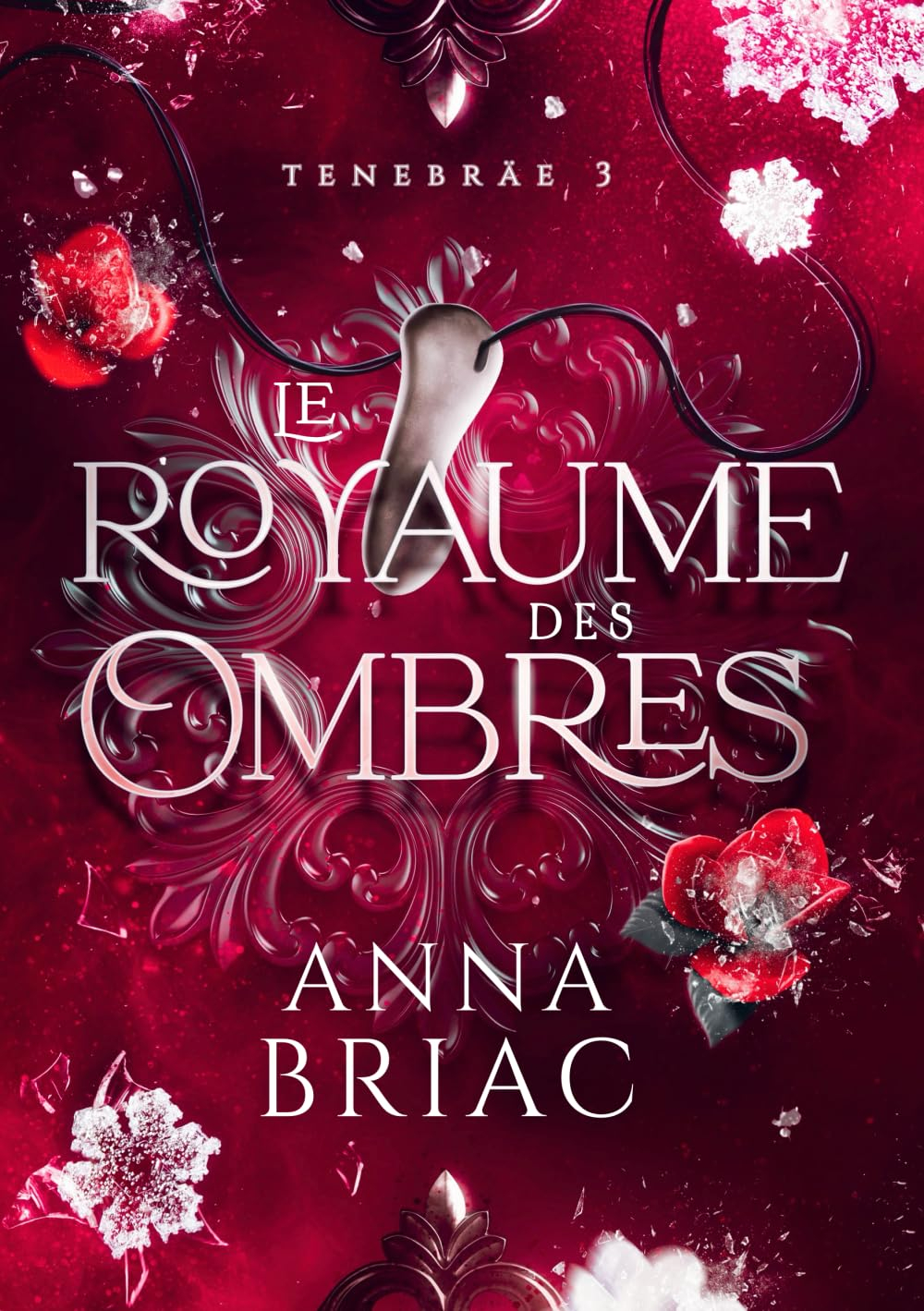 Le royaume des ombres