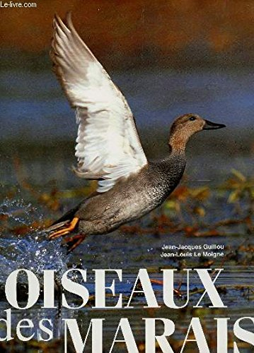 oiseaux des marais