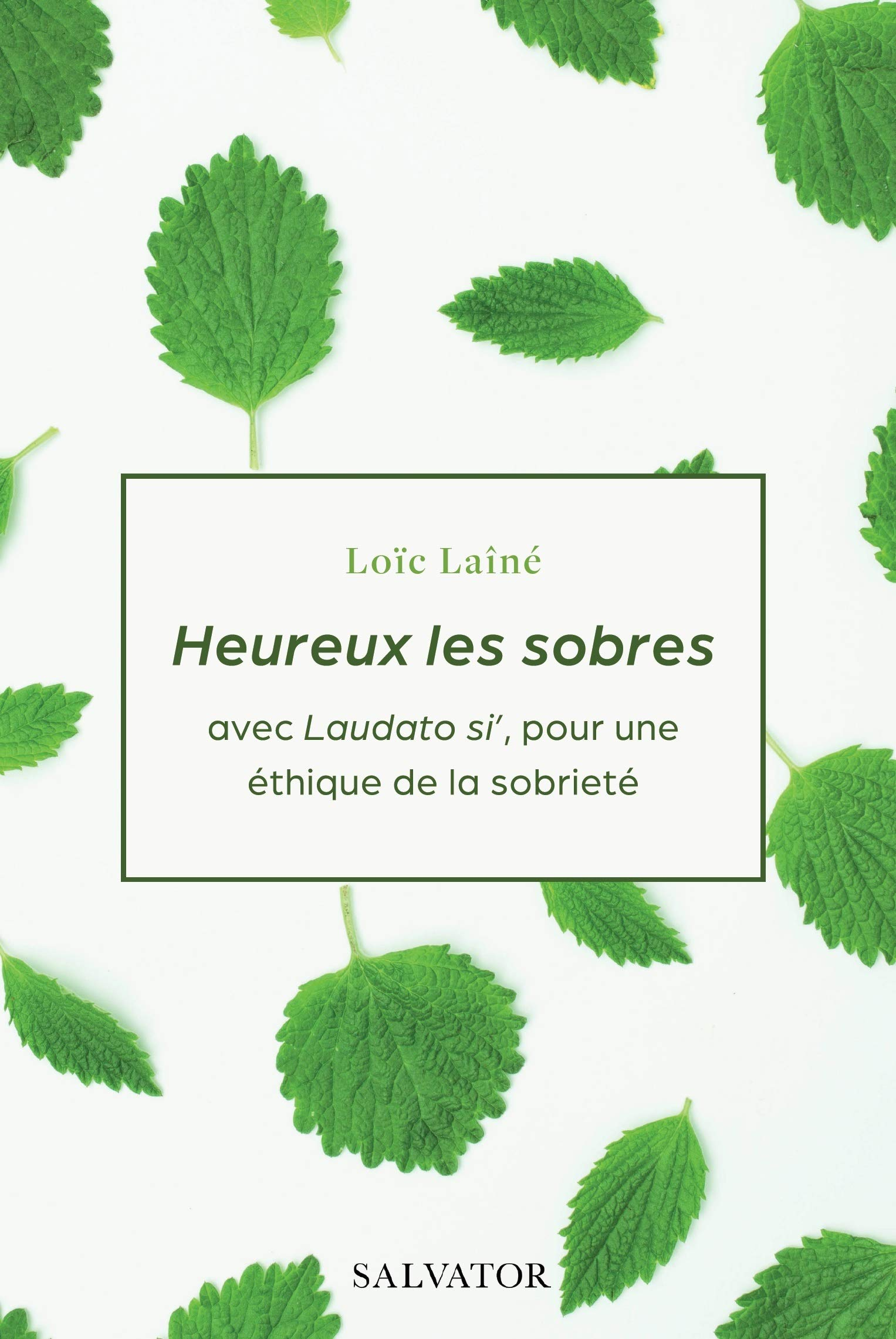 Heureux les sobres : avec Laudato si', pour une éthique de la sobriété